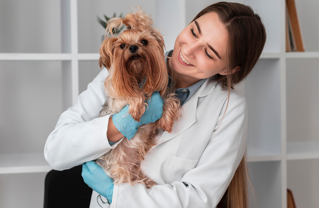 Importância do check-up veterinário regular 