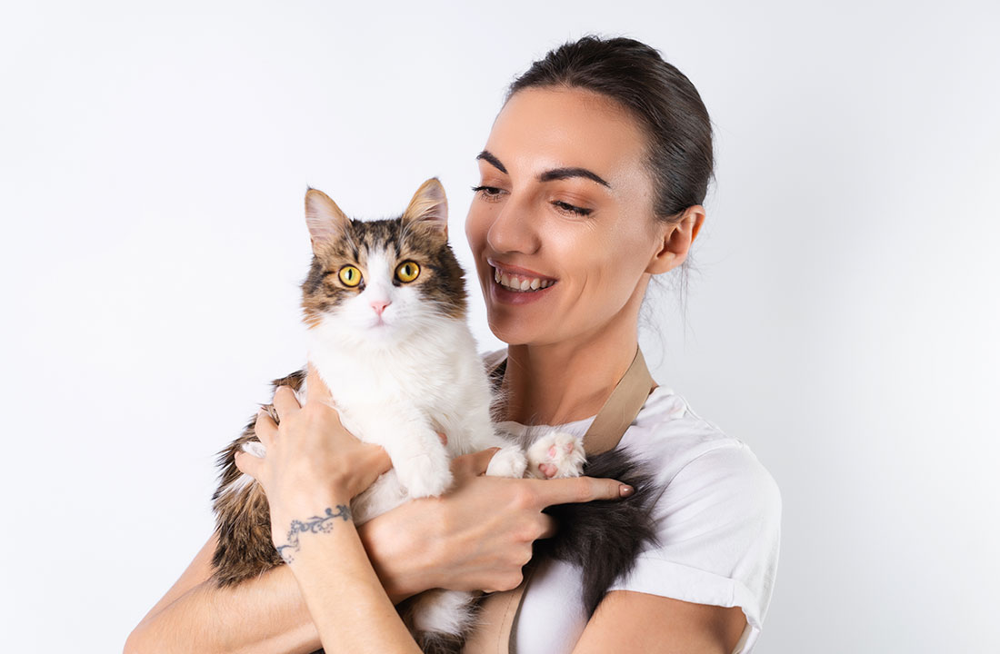 Gato Castrado Fica Mais Calmo? Mitos e Verdades sobre a Castração